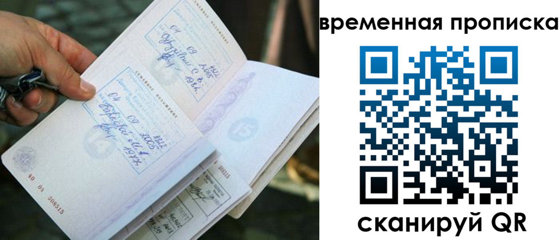 пропишу в квартире в Борзе